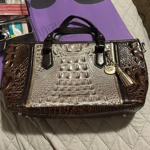 Brahmin purse